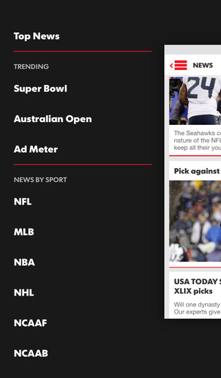 USA TODAY Sports
