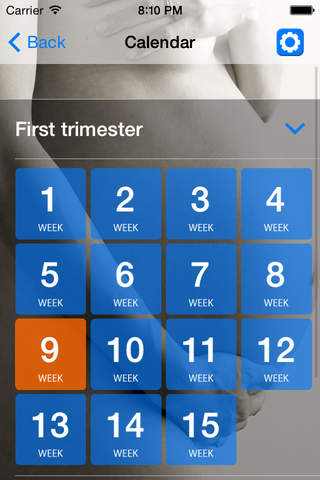 Pregnancy Calendar - week by week screenshot 2