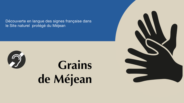 Grains de Méjean en LSF - parcours d'interprétation à Lattes