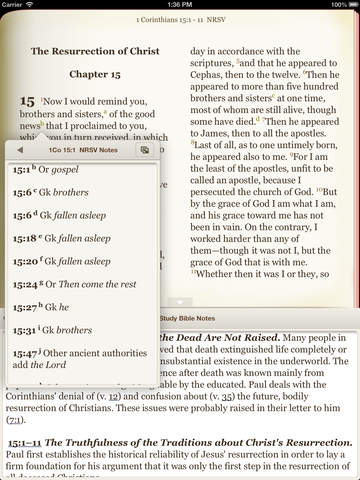 【免費書籍App】NRSV+ Bible-APP點子