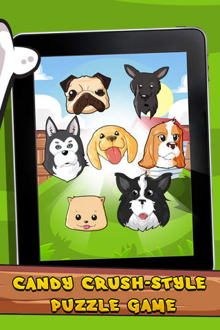 Absolute Pet Match - Puppy Pop Saga screenshot 2