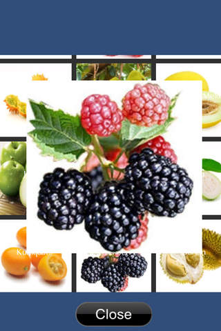 Learning Fruits For Kids screenshot 4