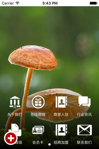 食用菌平台 screenshot 3