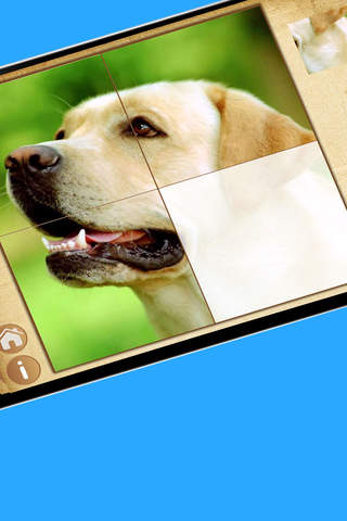 Dogs Photo Photo jigsaw Puzzle Games for preschool kids boys and girls age 3 + HD Lite Free screenshot 2