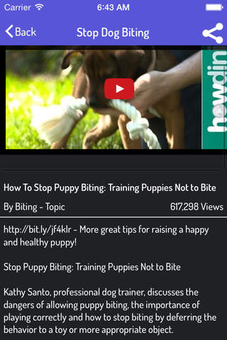 How To Train a Dog - Ultimate Video Guide screenshot 3