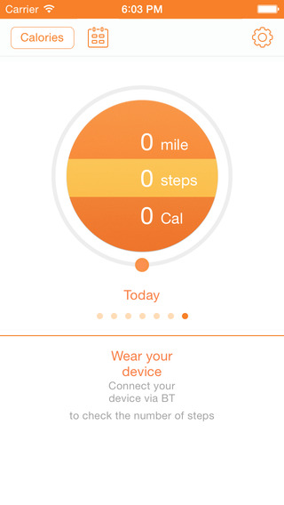 Fitmotion tracker