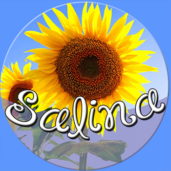 Salina Kansas LOGO-APP點子