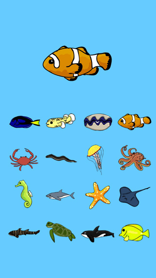 【免費教育App】Pocket Fish World - Cute Animals Free Game-APP點子