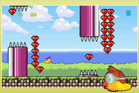 Adorable Koko Birdy First Flight Free : An impossible journey with wings in paradise screenshot 2