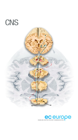 Miniatlas Central Nervous System
