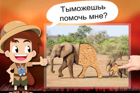 Toddler Tommy Wildlife Photo - Wildlife and Safari Animal puzzles screenshot 2