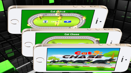 【免費遊戲App】Cat Chase HD-APP點子