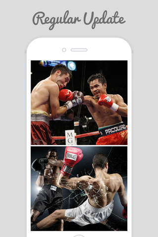 Boxing Wallpapers - Best Collection Of Boxing Wallpapers screenshot 4