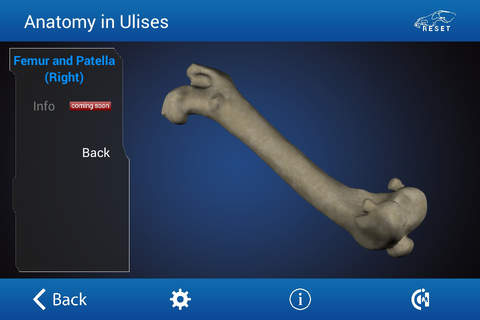 Osteology in Dogs (Ad Version) screenshot 2