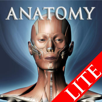 DS ANATOMY HEAD & NECK MUSCULOSKELETAL SYSTEM Lite LOGO-APP點子