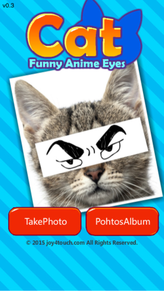 Cat Funny Anime Eyes