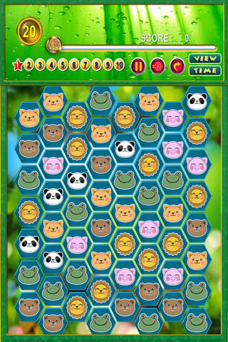 Panda with Friends Jam - The Awesome Bear and Animal Dots Memory Family Battle screenshot 3