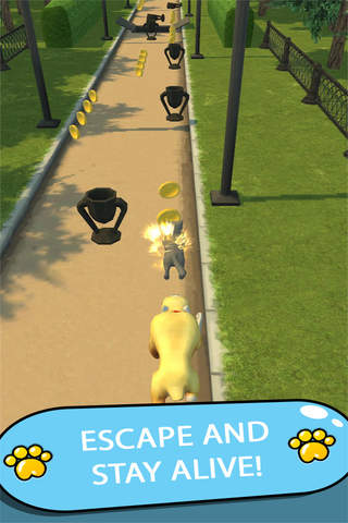 Cat Chase 3D PRO screenshot 3