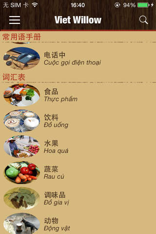 Viet Willow - Learn Vietnamese screenshot 3