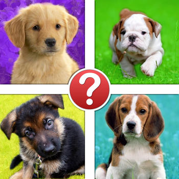 Puppies Pic Quiz - Dog Breeds by Puppy LOGO-APP點子