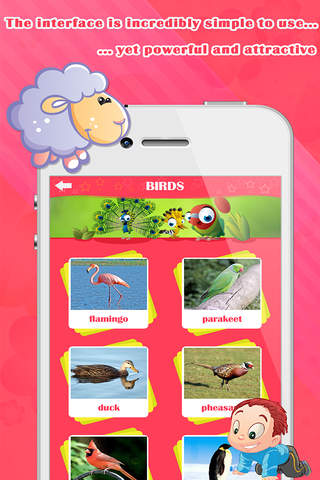 English for Baby - Best English for Kids screenshot 3