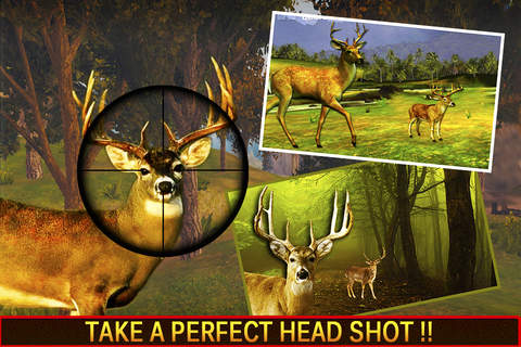2016 Deer Dream African Park Pro ~ Safari Hunting Shooting Games screenshot 2