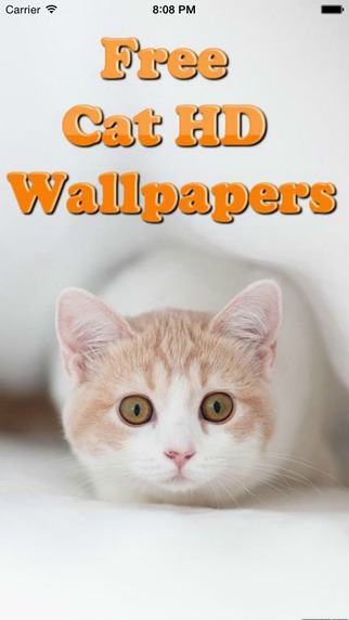 Cat Wallpapers Free