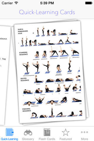 Yoga Dictionary: Flashcards with Free Video Lessons and Cheatsheets screenshot 2