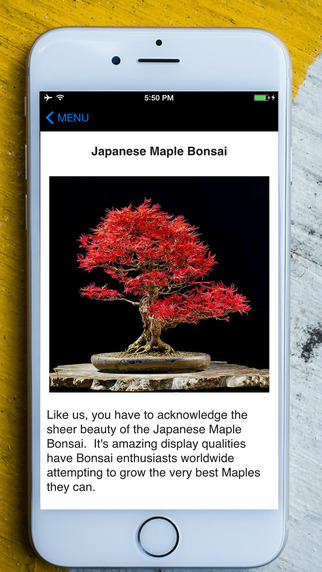 免費下載娛樂APP|Learn Bonsai Tree app開箱文|APP開箱王