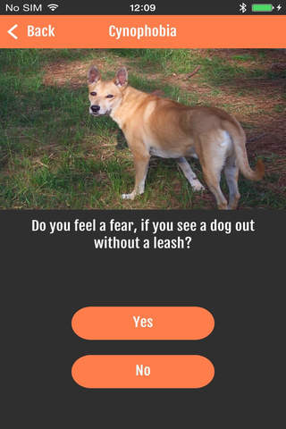 Beat Your Phobia screenshot 3
