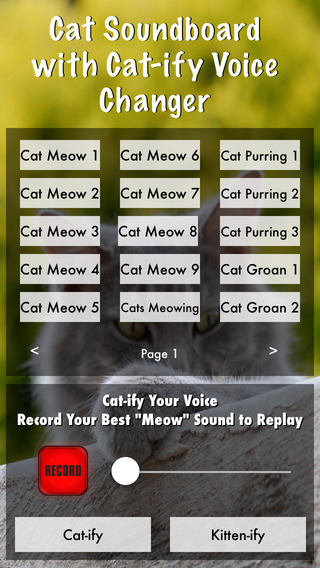 Cat Soundboard with Cat-ify Voice Changer Includes Kitten Meows and Purring
