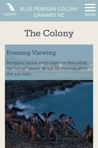 Oamaru Blue Penguin Colony, New Zealand screenshot 3