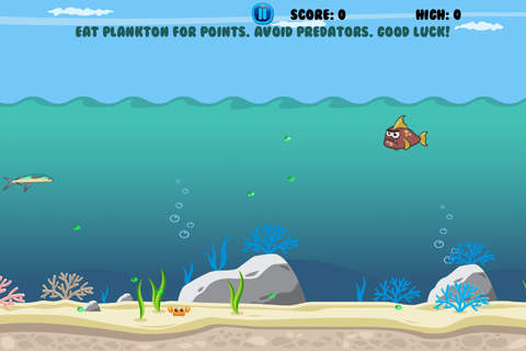 Fly FlyingFish, Fly! screenshot 2