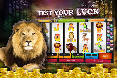 A Winning The Panda Slots - Play The Crazy Jackpot Mania PRO screenshot 2