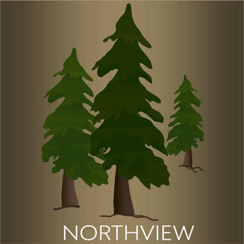 Northview Bible Church LOGO-APP點子