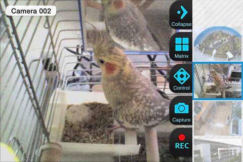 Viewer for Maginon IP Cams screenshot 3