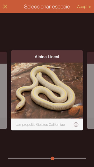 【免費工具App】Lampropeltis-APP點子