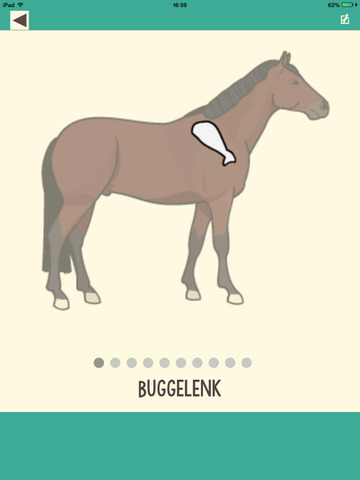 【免費教育App】Horse Knowledge in German - Hard words and phrases for experienced equestrians-APP點子