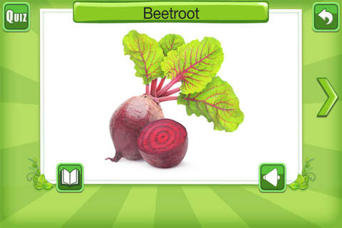 Learn By Fun Fruit & Vegetable Pro screenshot 3