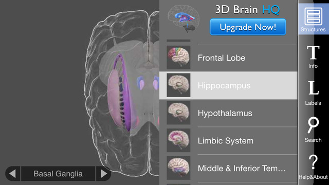 【免費教育App】3D Brain-APP點子