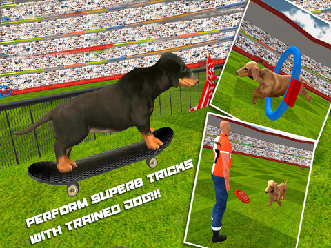 免費下載遊戲APP|Dog Show Simulator 3D: Train puppies & perform amazing stunts app開箱文|APP開箱王