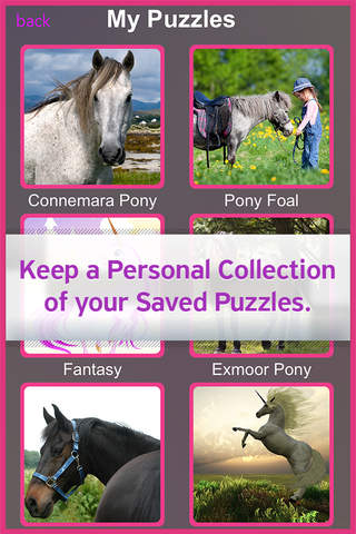 A Pretty Little Unicorn & Pony Jigsaw Puzzle- cute horses & Ponies edition screenshot 3