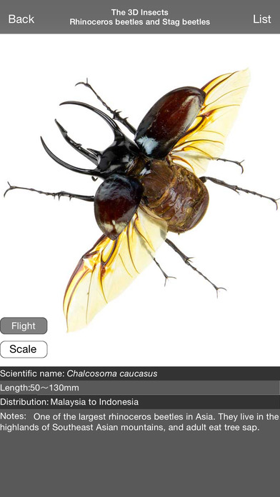iPhone Screenshot 3