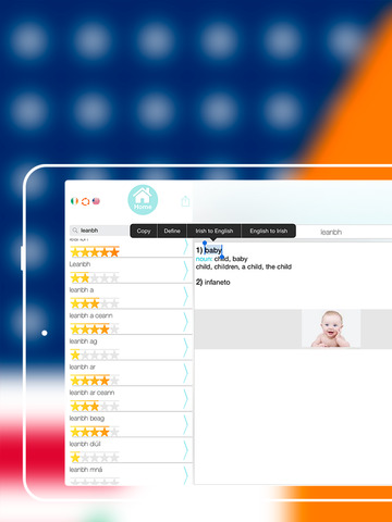 免費下載教育APP|Offline Irish to English Language Dictionary app開箱文|APP開箱王
