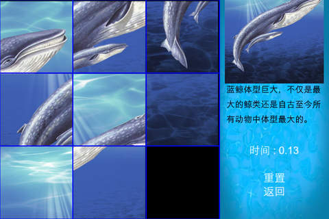 拯救鲸鱼之海洋竞赛游戏 screenshot 2