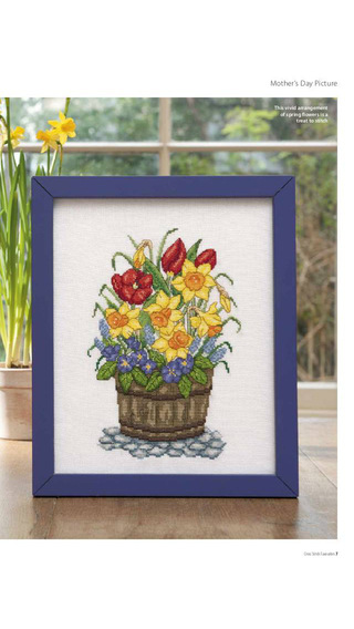 【免費生活App】Cross Stitch Favourites – how to cross stitch patterns and cross stitch embroidery-APP點子