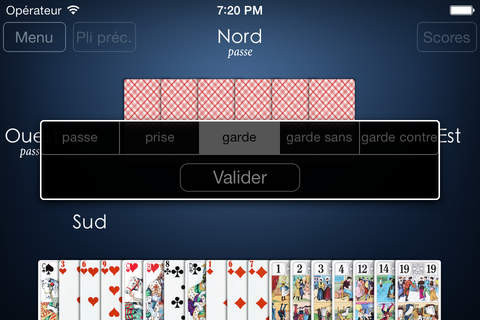 Tarot Le Jeu screenshot 2