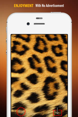 Cheetah Wallpapers HD screenshot 2