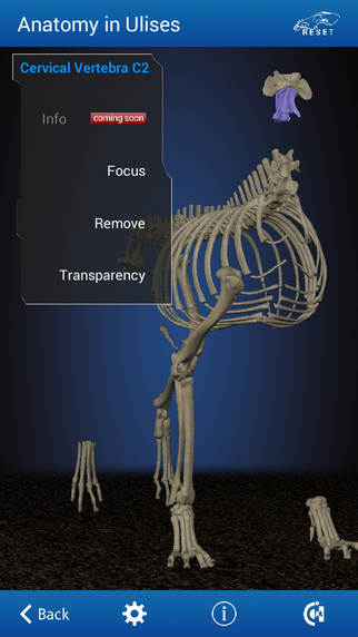 【免費醫療App】Osteology in Dogs-APP點子