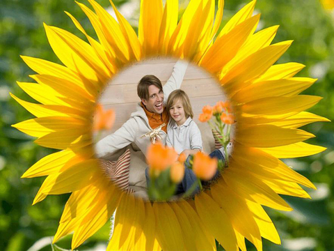 免費下載攝影APP|Sunflower Photo Frames app開箱文|APP開箱王